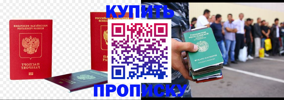 прописка для школы в Сальске