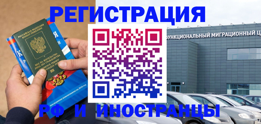 прописка поиск в Сальске